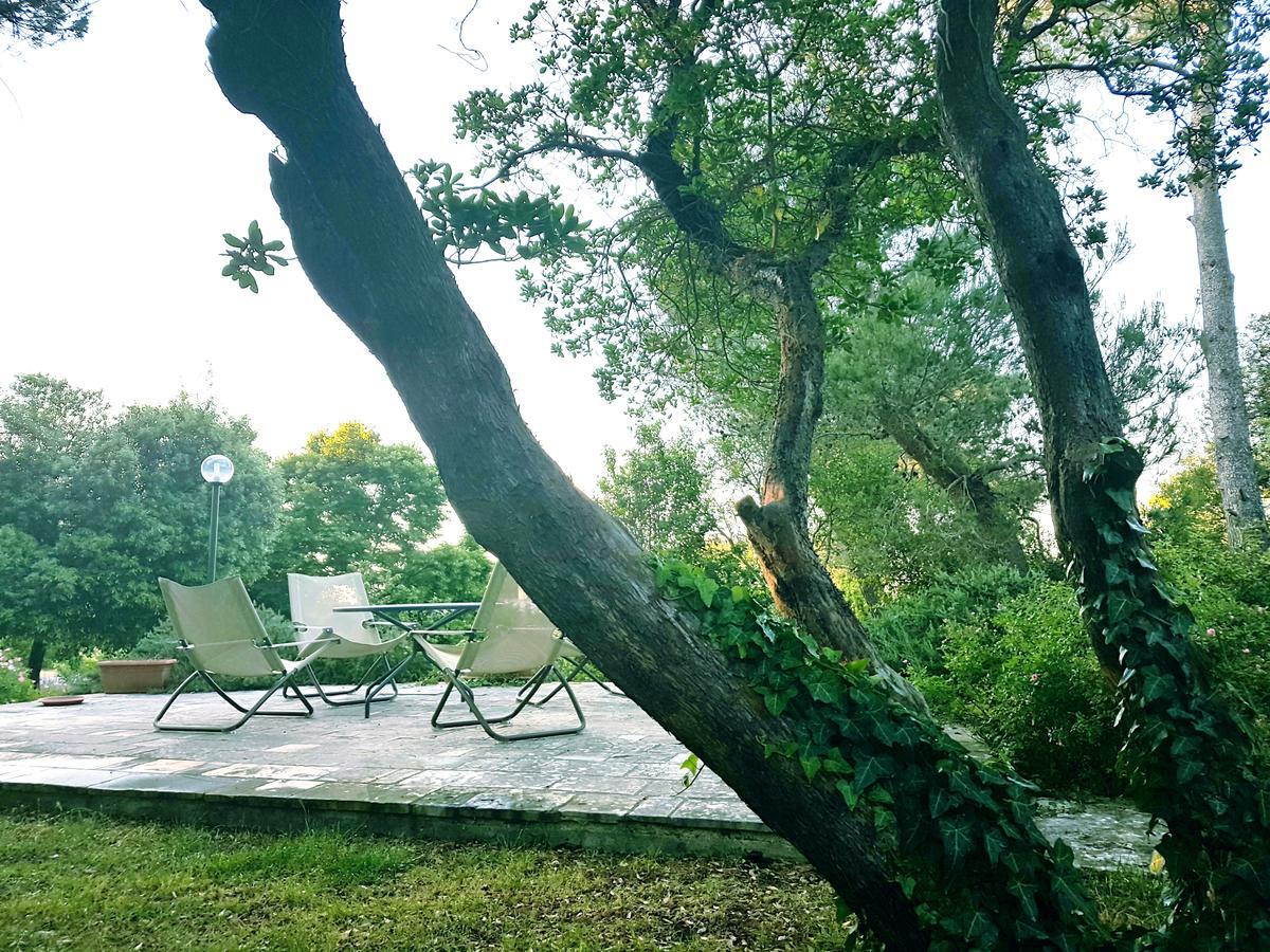 Villa Cenzina 셀바디파사노 외부 사진