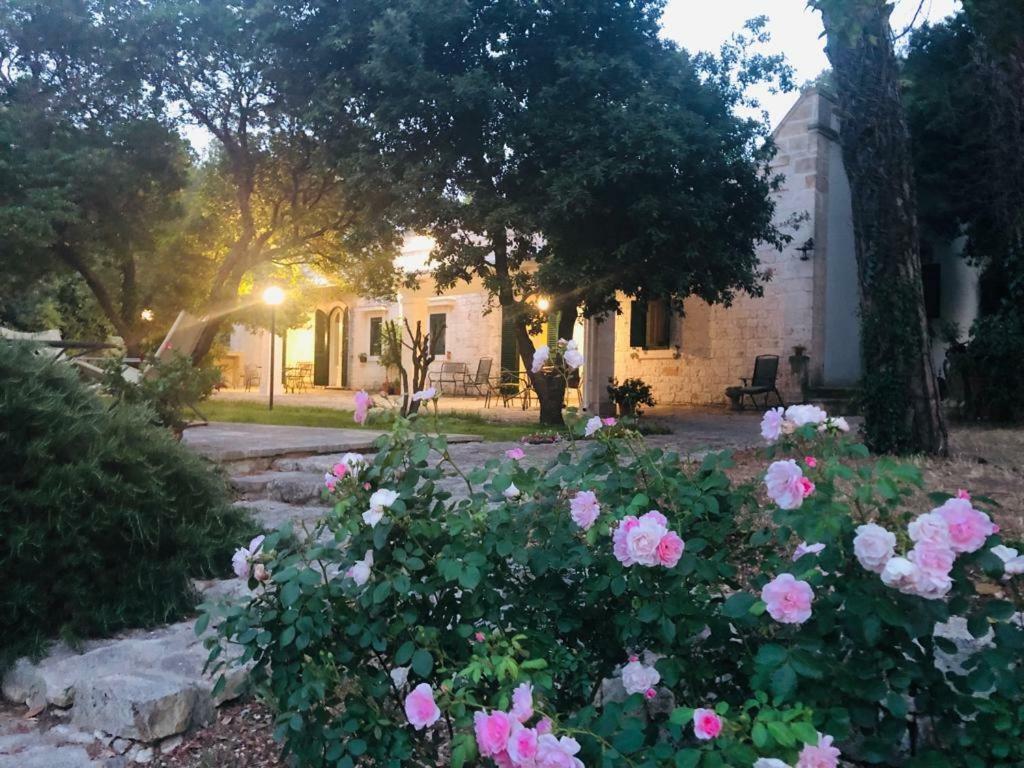 Villa Cenzina 셀바디파사노 외부 사진